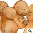 Coconut shell halves